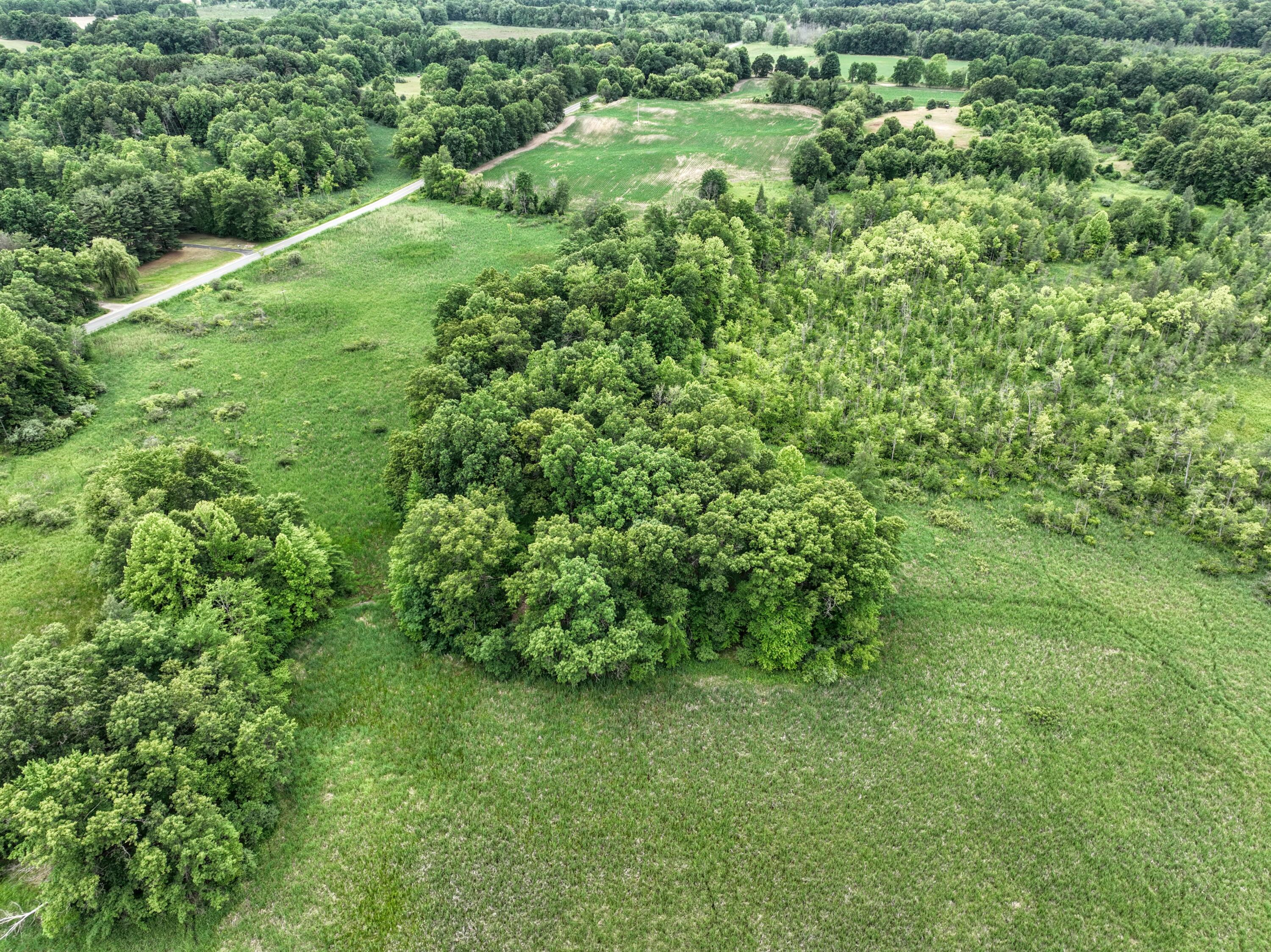 Vl Mud Lake Road Bellevue, MI 49021 - Photo 9 of 48 9