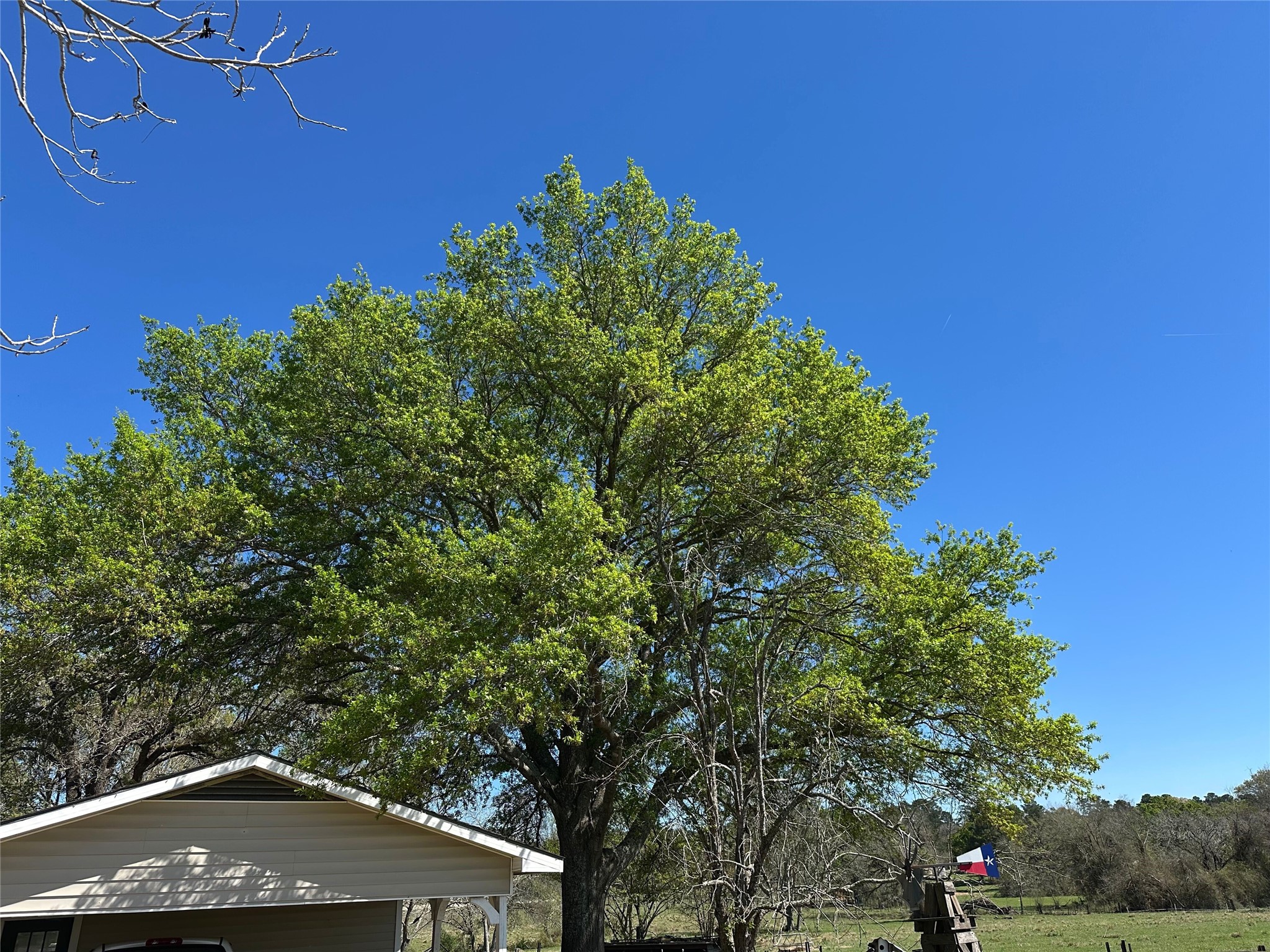 20136 Longstreet Road Richards, TX 77873 - Photo 21 of 50