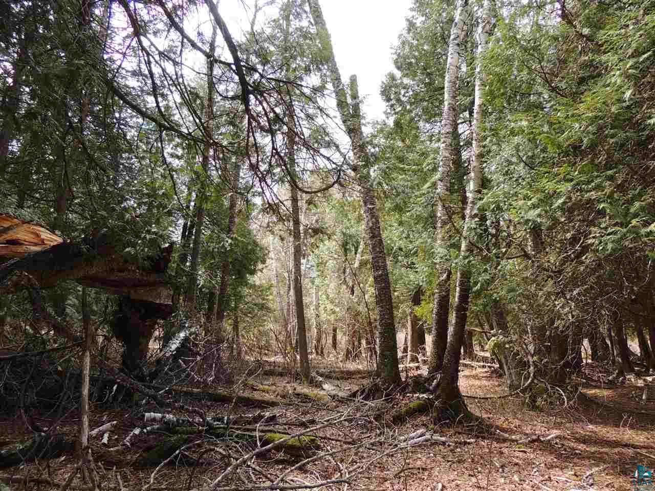 X30 Isak Ridge Lutsen, MN 55612 - Photo 12 of 28