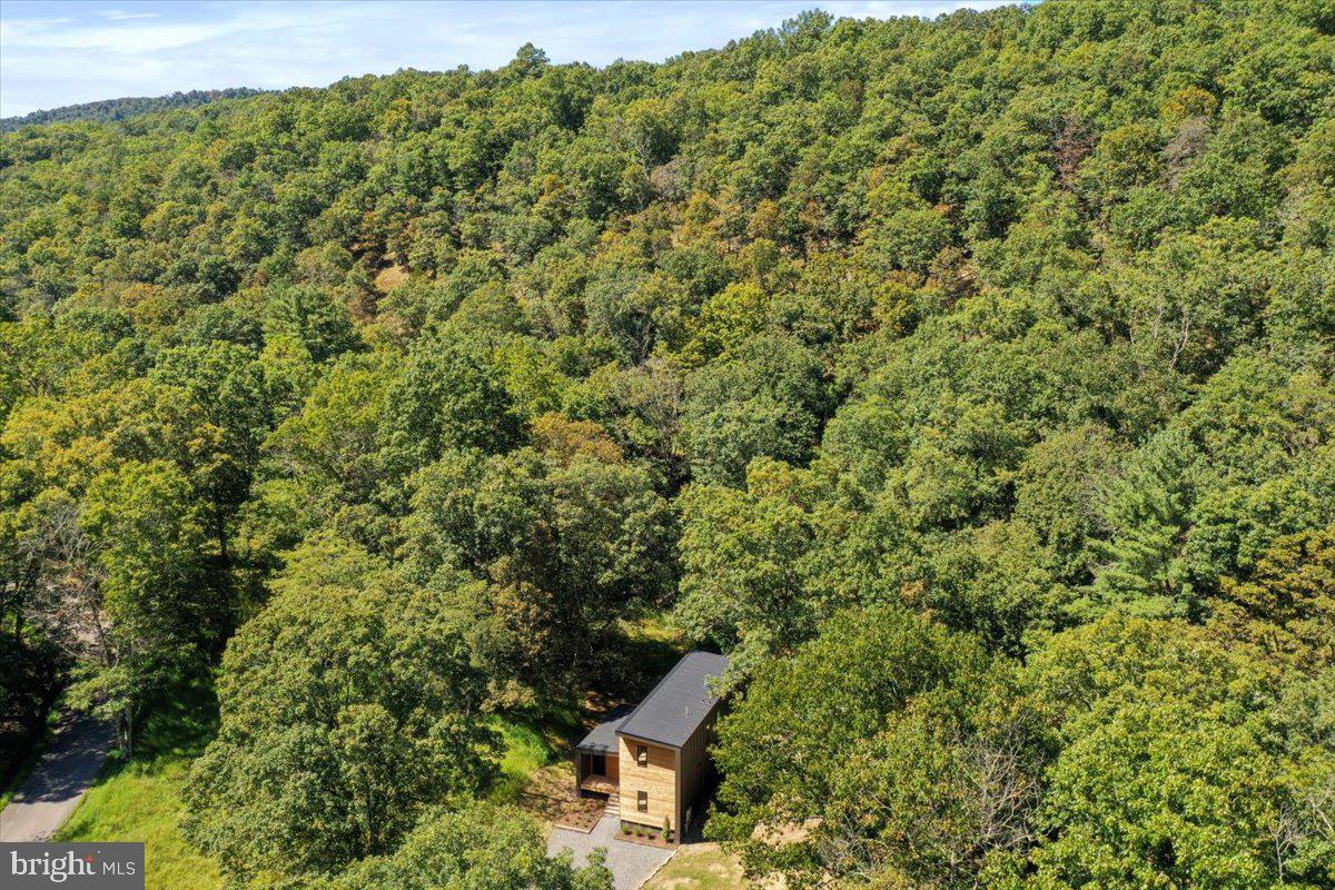 1956 Dove Hollow Road Mathias, WV 26812 - Photo 82 of 113 Aerial View of Land & Surroundings