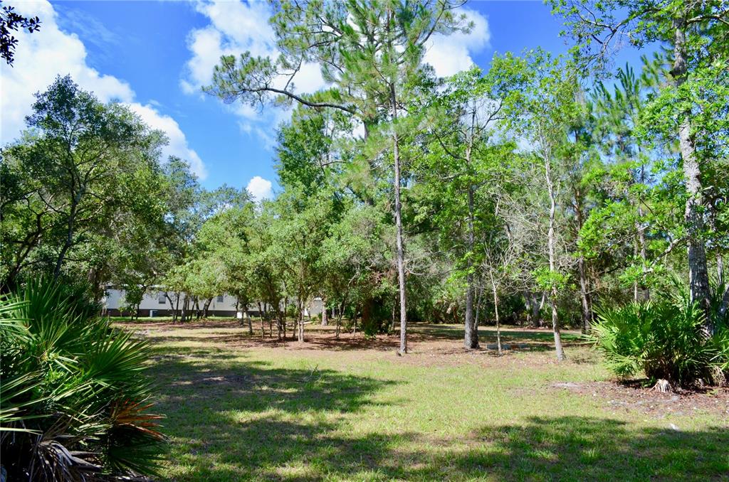 33135 Forest Ridge Road DeLand, FL 32720 - Photo 5 of 24