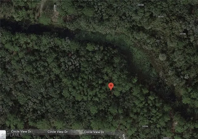 a view of a tree in a yard