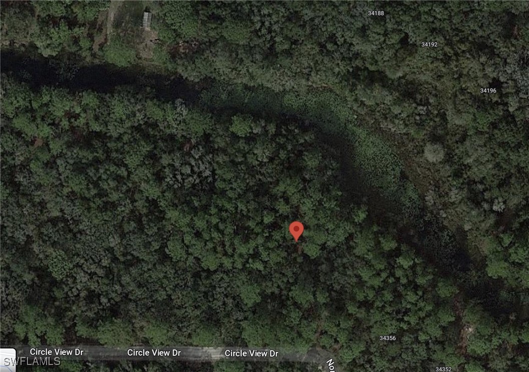 7176 Norway Street Webster, FL 33597 - Photo 3 of 14 a view of a tree in a yard