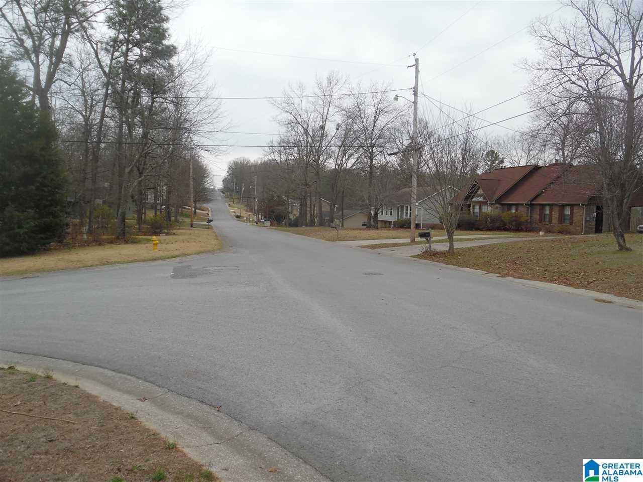 1518 Sequoia Trail Alabaster, AL 35007 - Photo 37 of 39