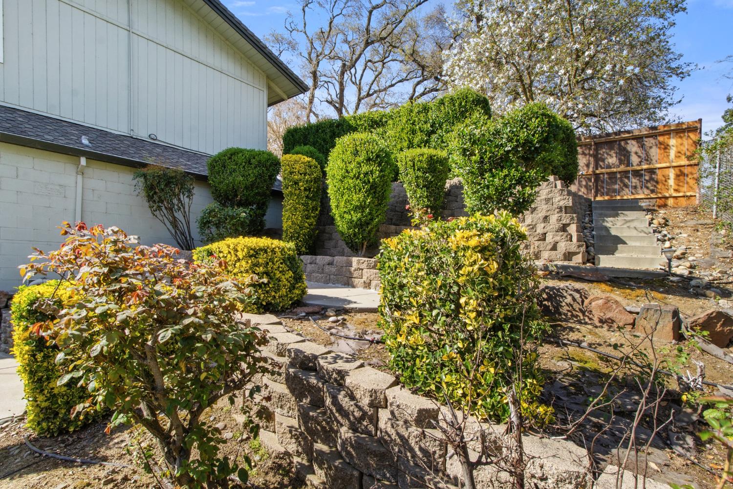 12030 Rodden Road Oakdale, CA 95361 - Photo 54 of 74 Gallery Image 54