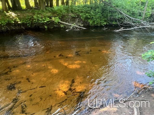 11.6 Acres Off Remington Road Marquette, MI 49855 - Photo 2 of 39
