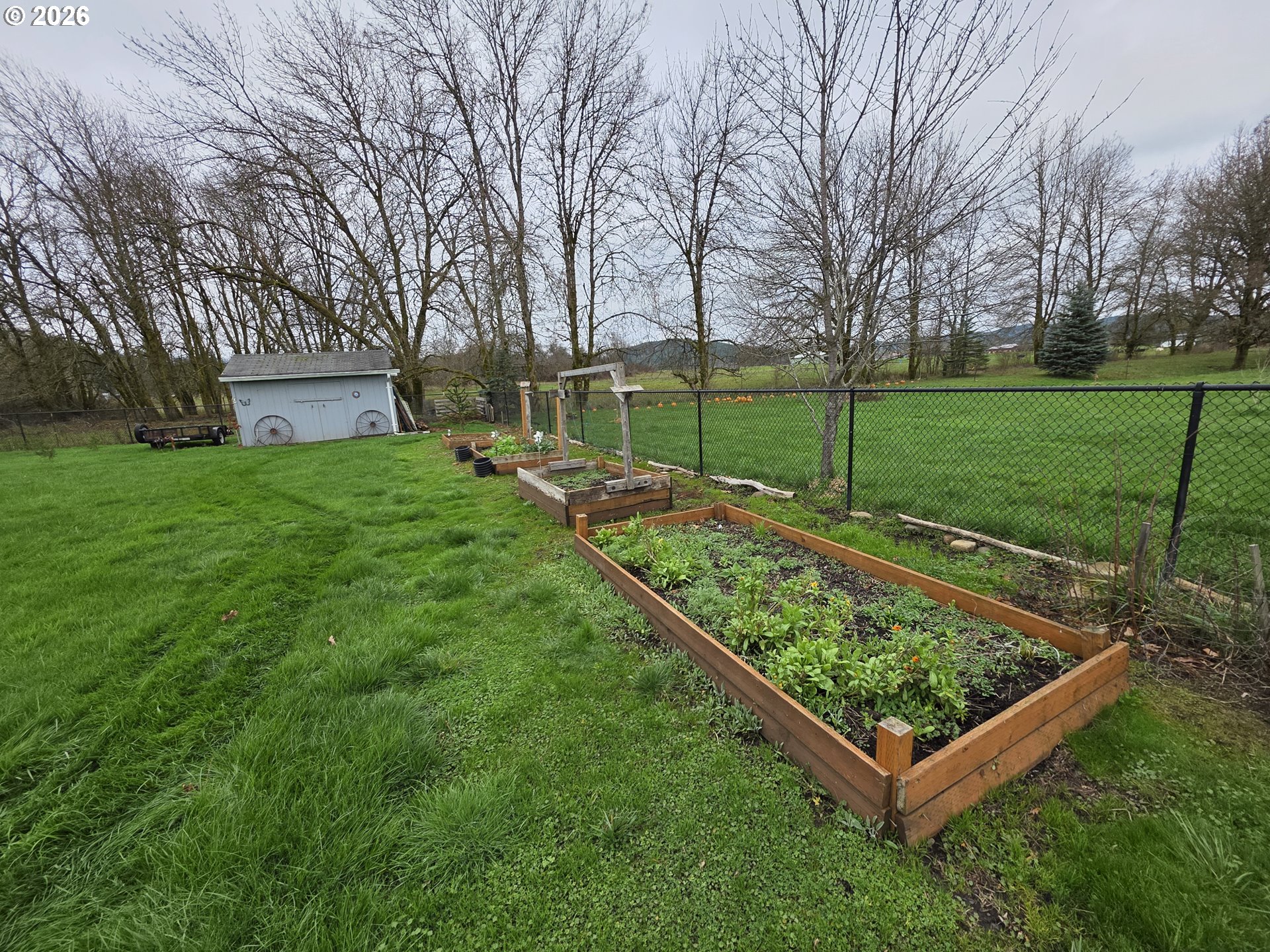 1294 Boistfort Road Curtis, WA 98538 - Photo 5 of 6