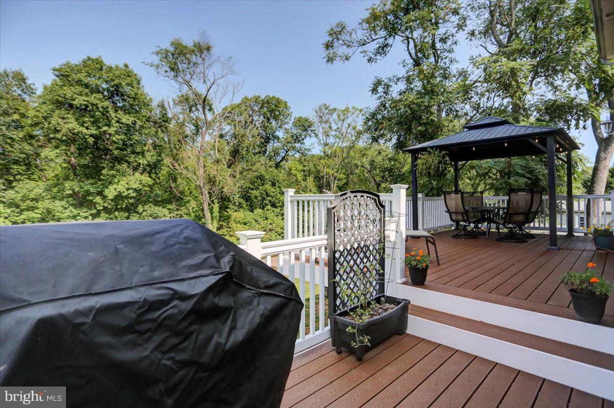 1832 Pleasant View Road Adamstown, MD 21710 - Photo 44 of 54 Trex Deck