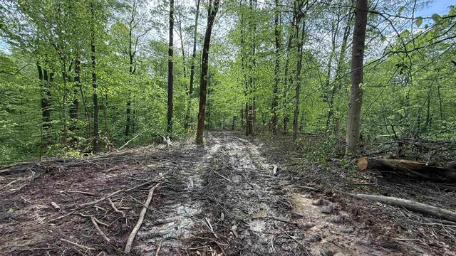 $249,900 | 3 Fiscus Cemetery Road, Coal City, IN 47427