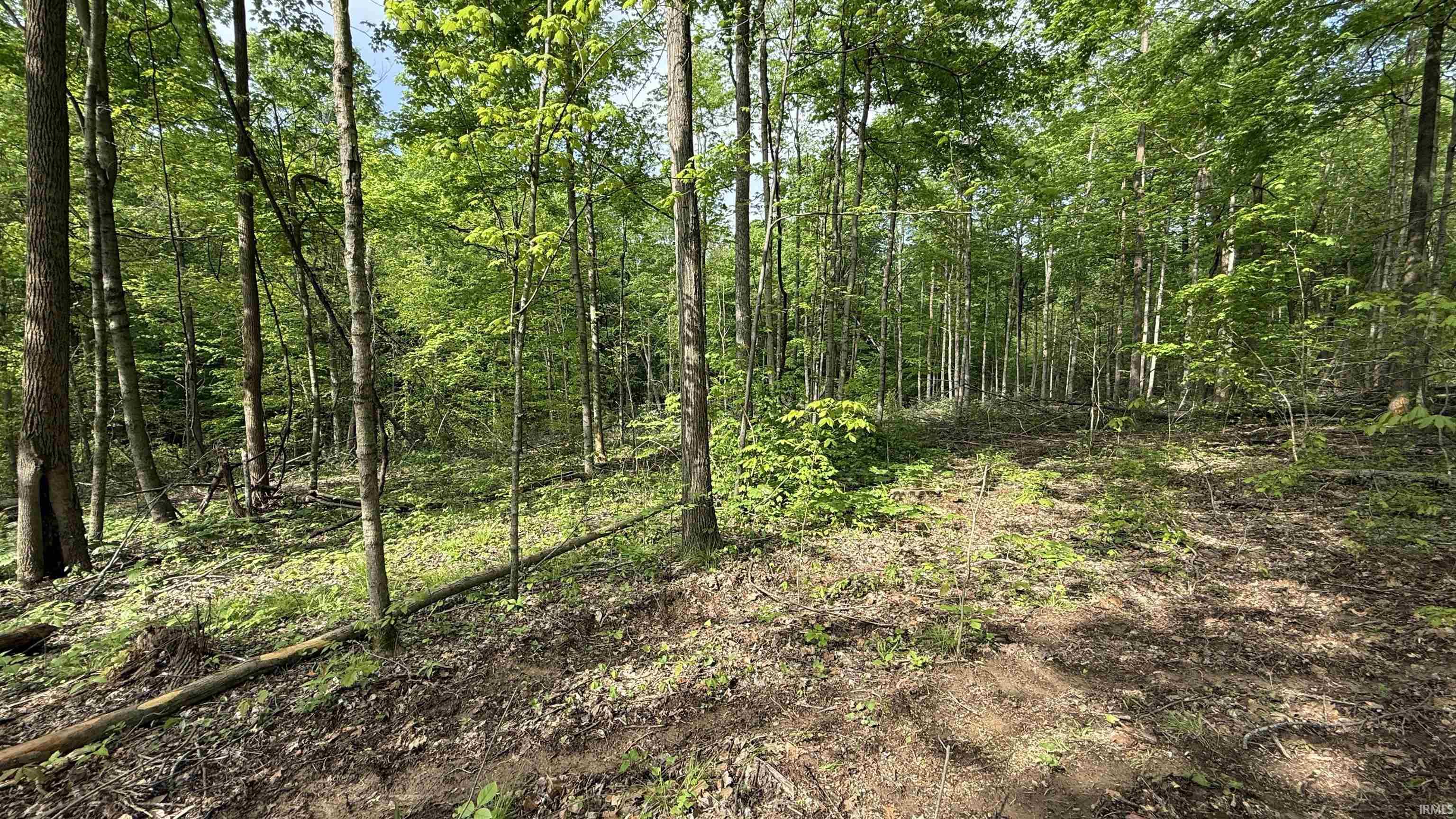 3 Fiscus Cemetery Road Coal City, IN 47427 - Photo 12 of 18