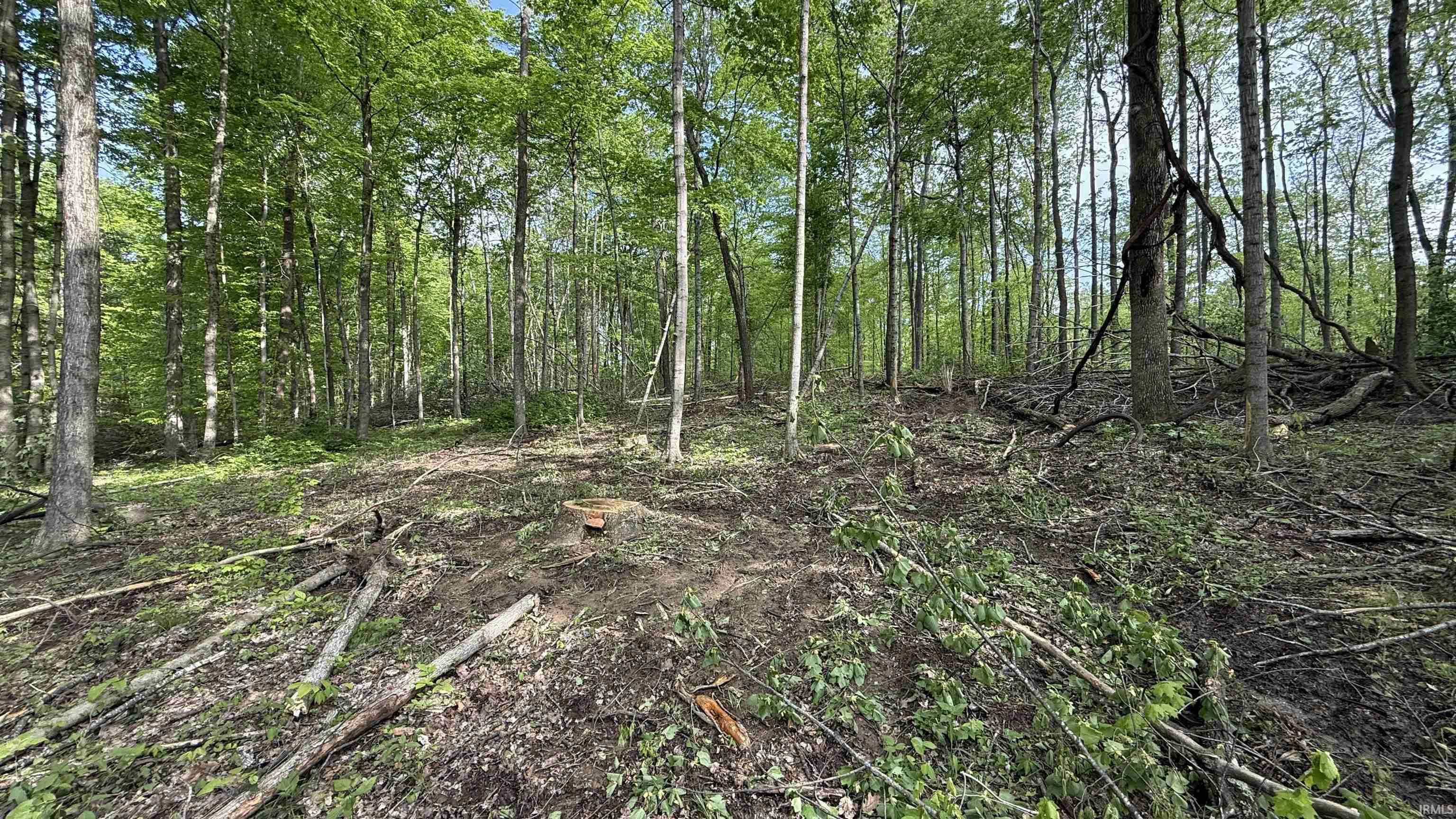 3 Fiscus Cemetery Road Coal City, IN 47427 - Photo 13 of 18