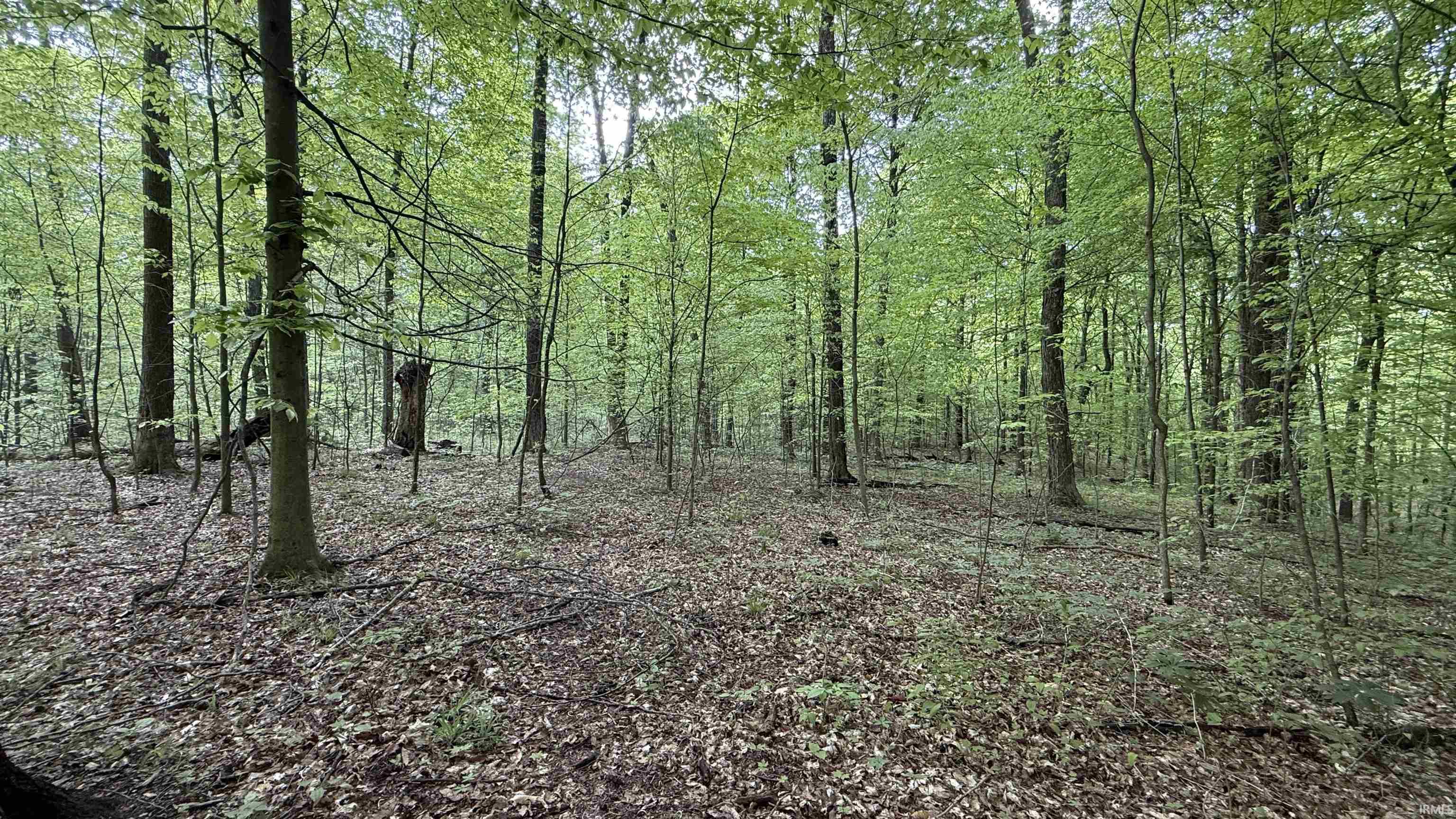 3 Fiscus Cemetery Road Coal City, IN 47427 - Photo 14 of 18