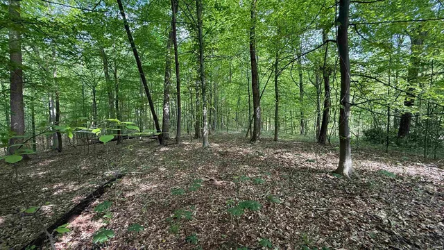 $249,900 | 3 Fiscus Cemetery Road, Coal City, IN 47427