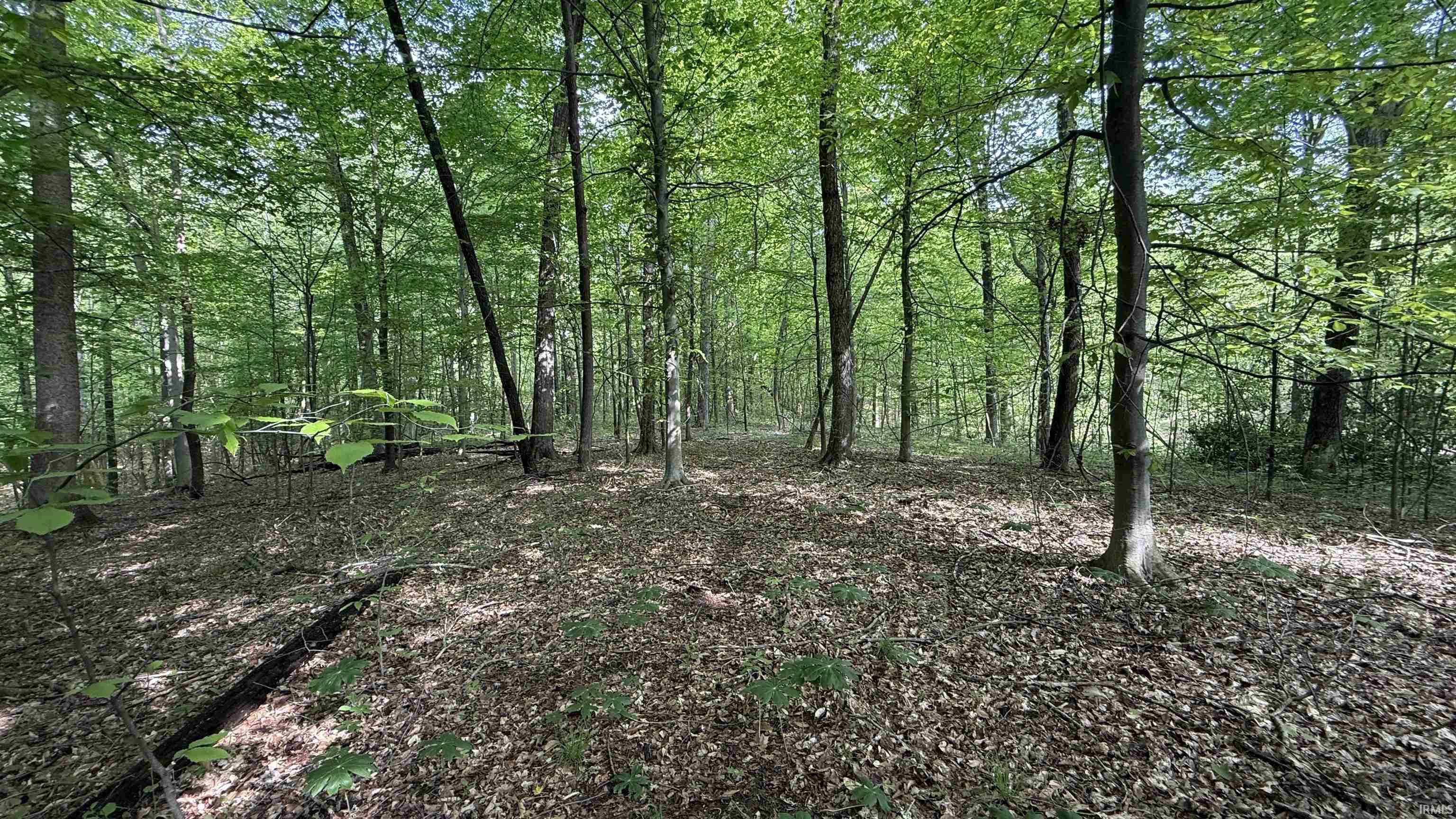 3 Fiscus Cemetery Road Coal City, IN 47427 - Photo 15 of 18