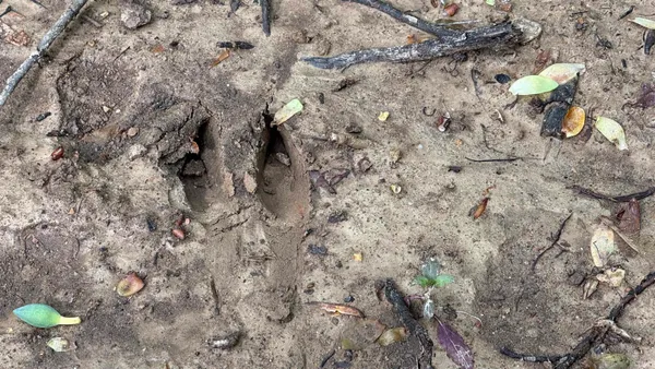 $244,900 | 3 Fiscus Cemetery Road, Coal City, IN 47427