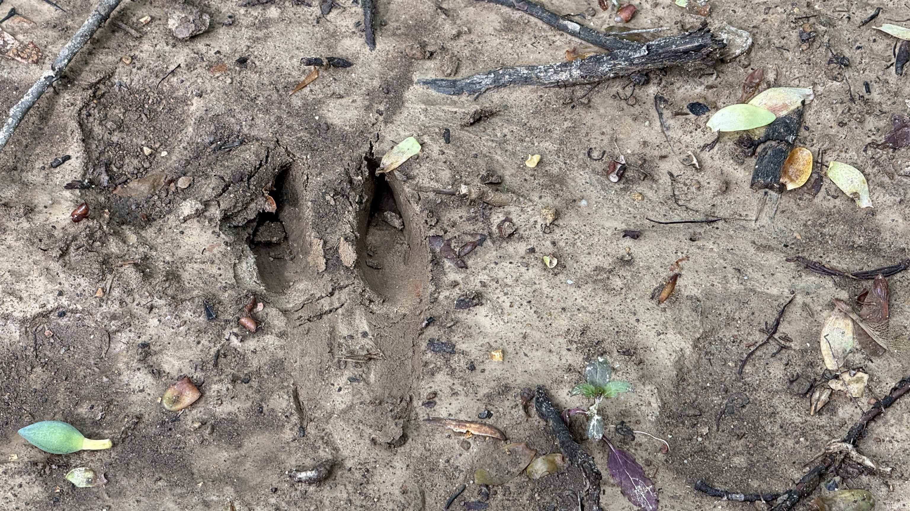 3 Fiscus Cemetery Road Coal City, IN 47427 - Photo 5 of 18