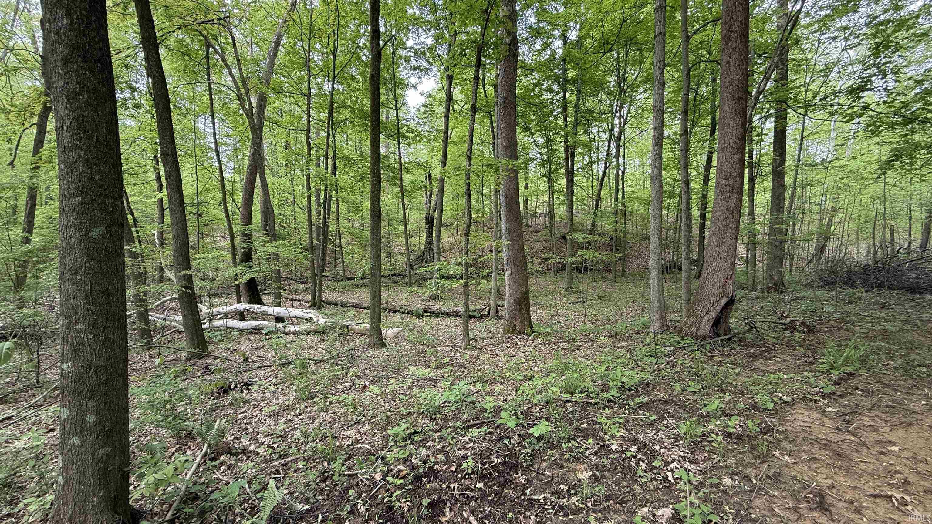 3 Fiscus Cemetery Road Coal City, IN 47427 - Photo 6 of 18