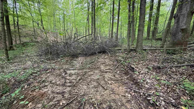 $249,900 | 3 Fiscus Cemetery Road, Coal City, IN 47427