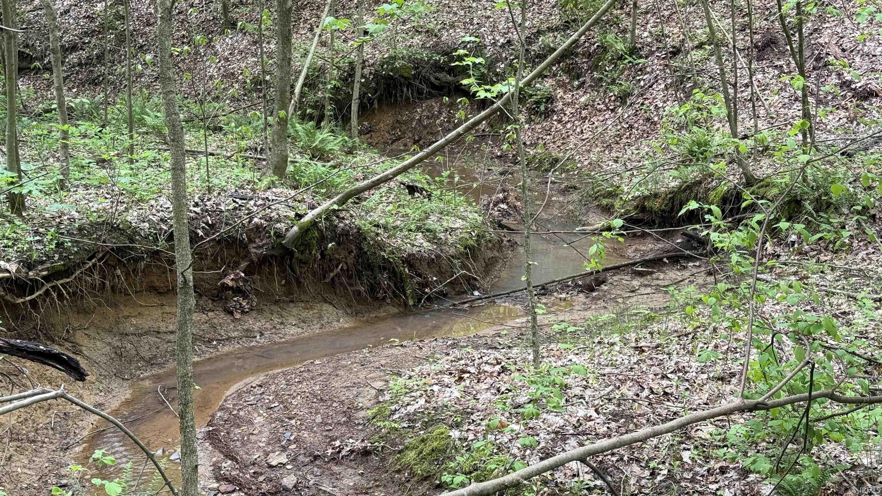 3 Fiscus Cemetery Road Coal City, IN 47427 - Photo 8 of 18