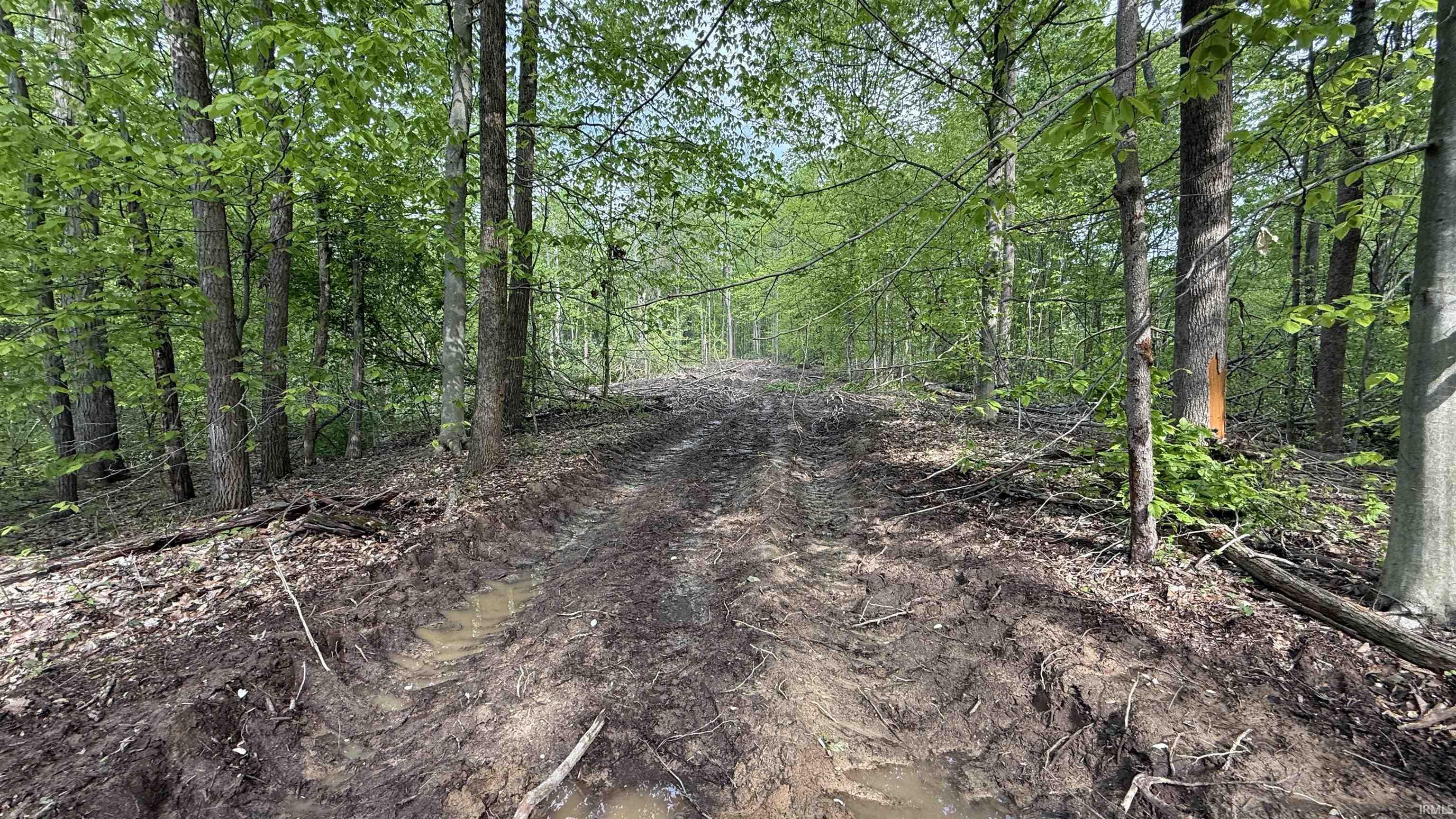 3 Fiscus Cemetery Road Coal City, IN 47427 - Photo 10 of 18