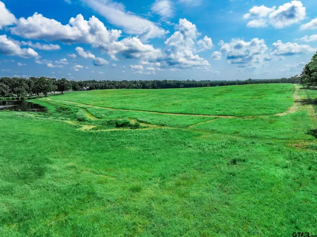a view of a big yard with lots of green space