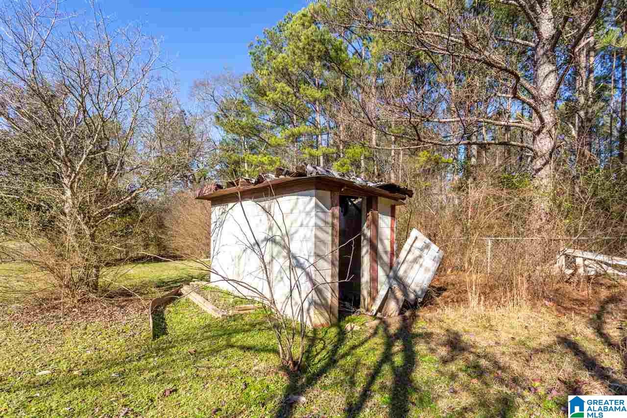 318 Cove Access Road Talladega, AL 35160 - Photo 45 of 48