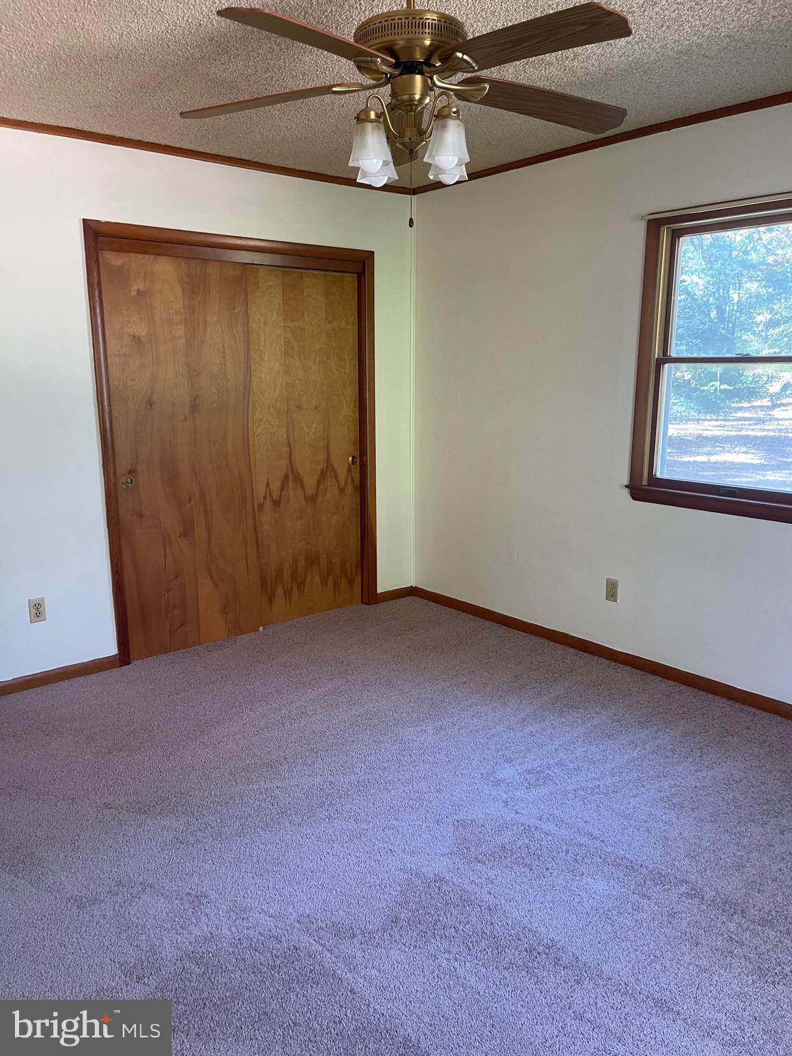 5953 Palmers Mill Road Hurlock, MD 21643 - Photo 11 of 21 Gallery Image 11