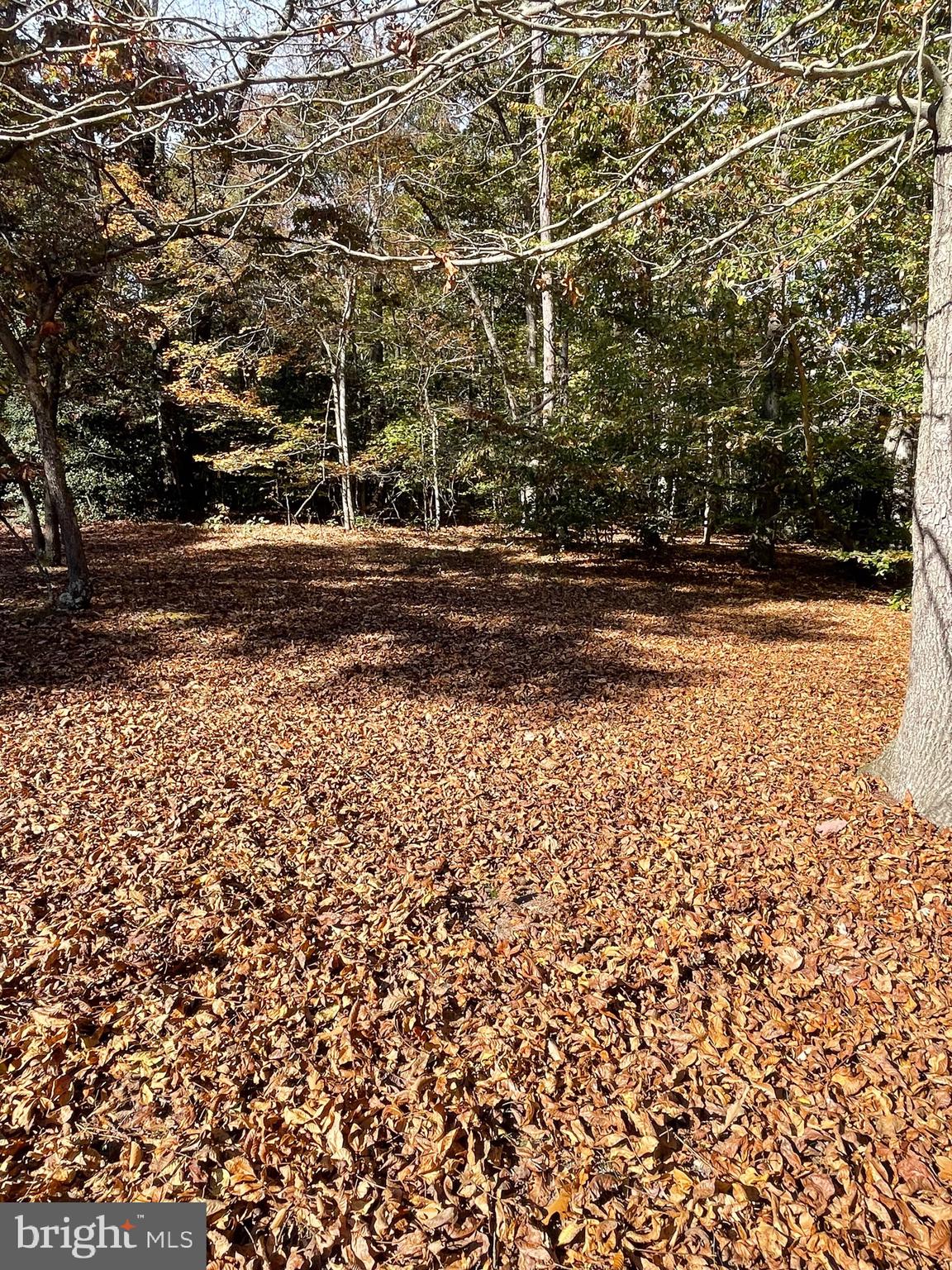 5953 Palmers Mill Road Hurlock, MD 21643 - Photo 2 of 21 Gallery Image 2