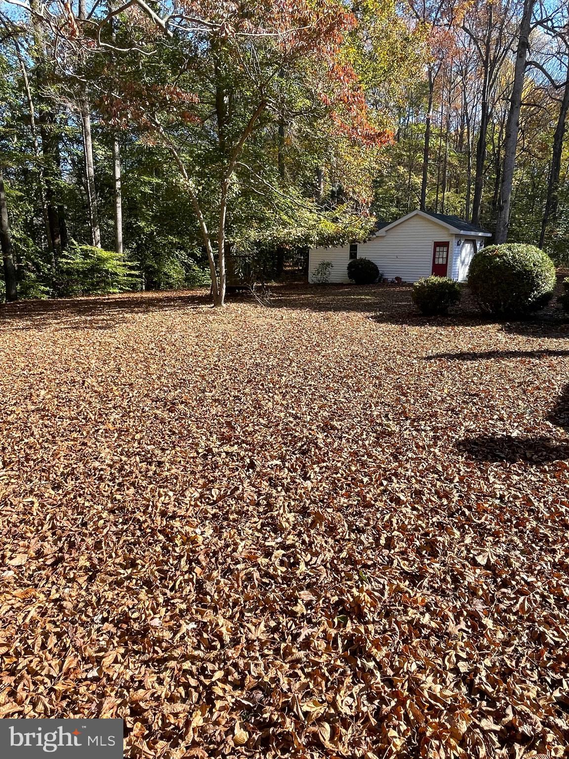 5953 Palmers Mill Road Hurlock, MD 21643 - Photo 4 of 21 Gallery Image 4