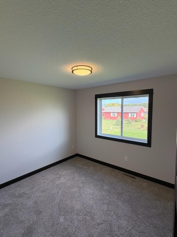 630 Cedar Ridge Avenue Le Center, MN 56057 - Photo 16 of 25