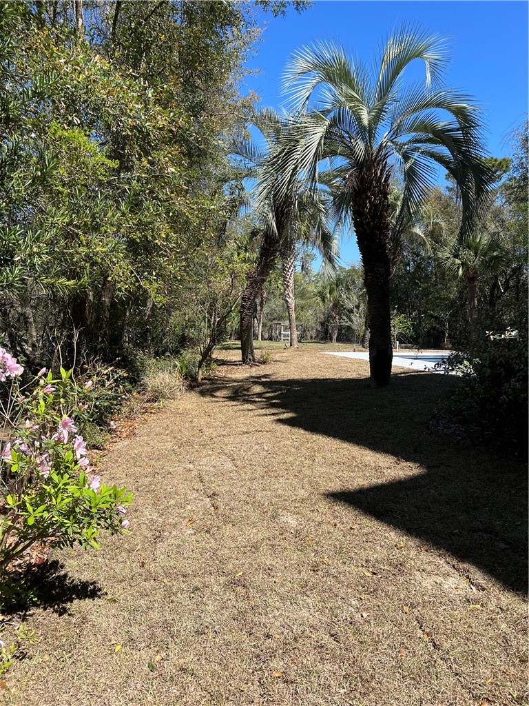 133 Yellow Blf Lane Brunswick, GA 31520 - Photo 33 of 35