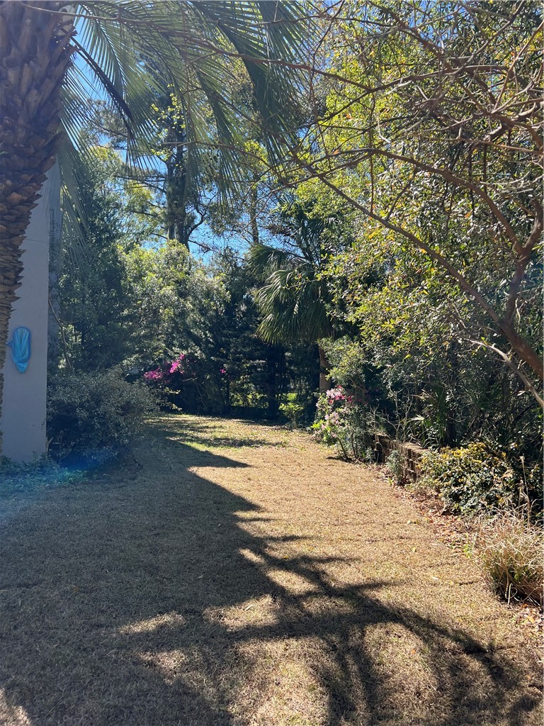 133 Yellow Blf Lane Brunswick, GA 31520 - Photo 34 of 35