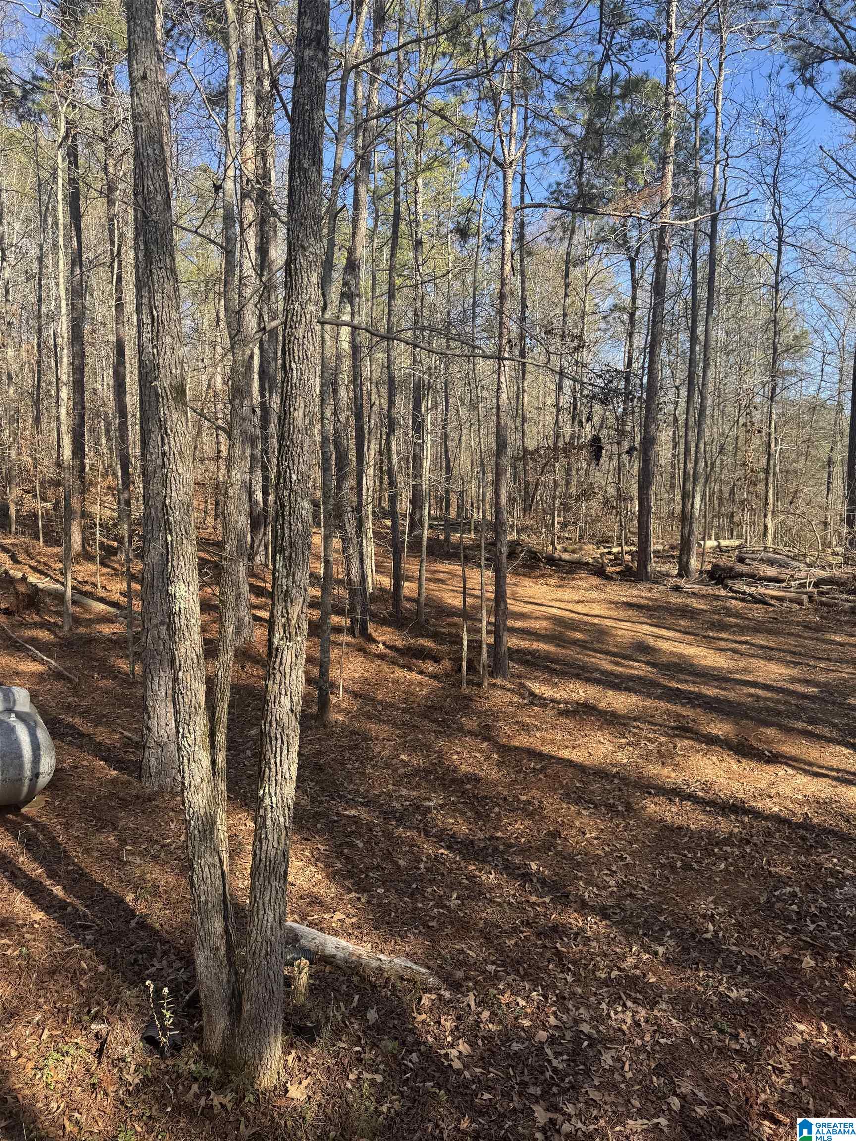 283 County Road 2012 Delta, AL 36258 - Photo 16 of 19