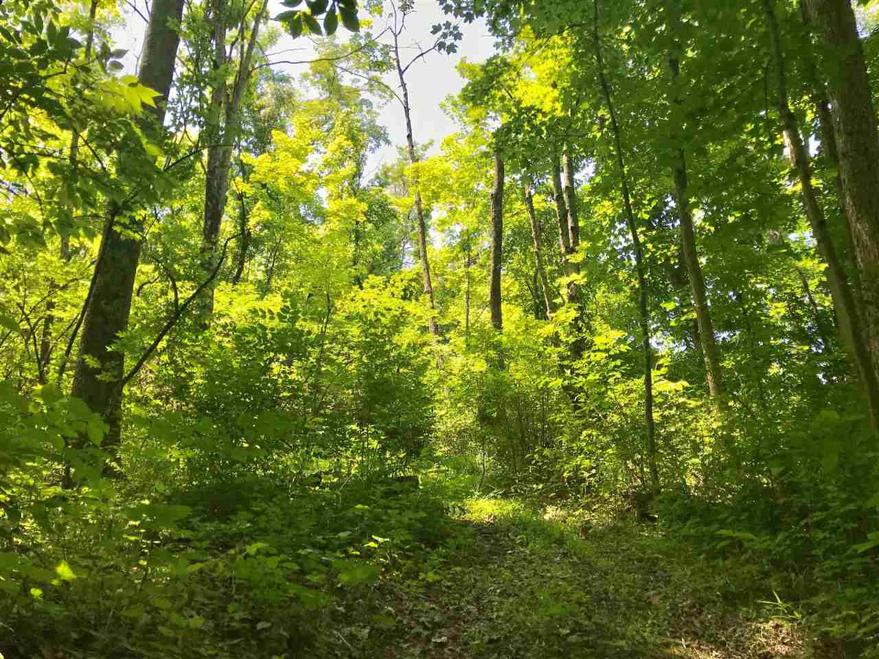 564 Deer Run Road Newport, KY 41076 - Photo 10 of 12 Gallery Image 10