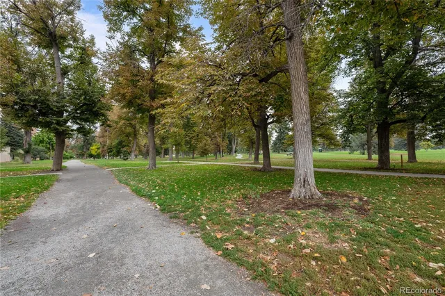 a view of a park with tree s