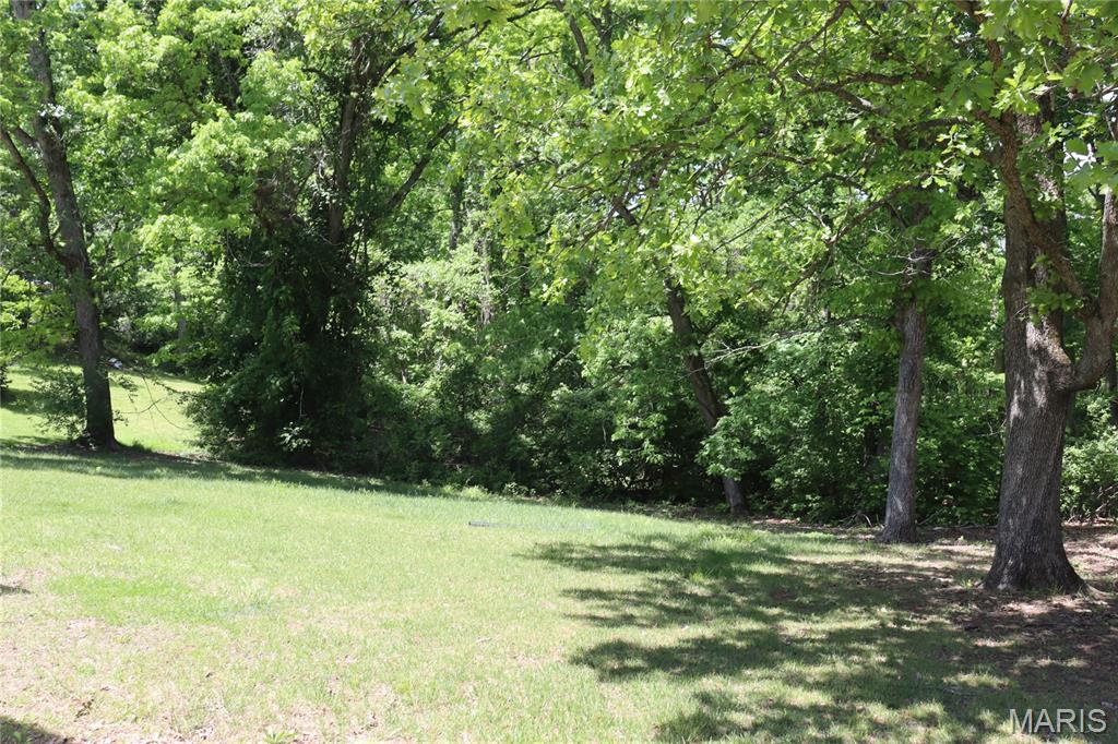 4219 Old State Road De Soto, MO 63020 - Photo 16 of 17