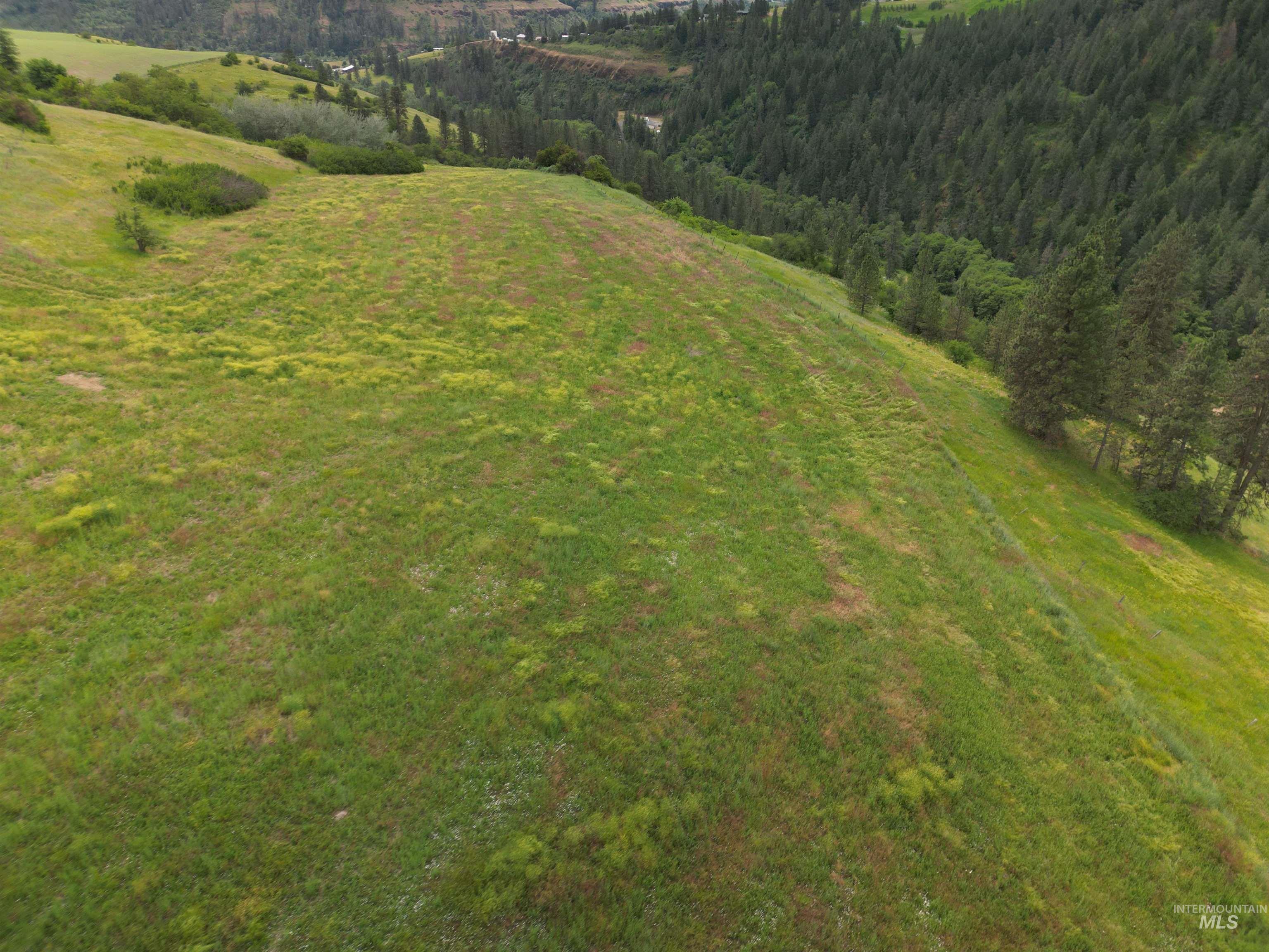 0 American Ridge Road Kendrick, ID 83537 - Photo 2 of 12