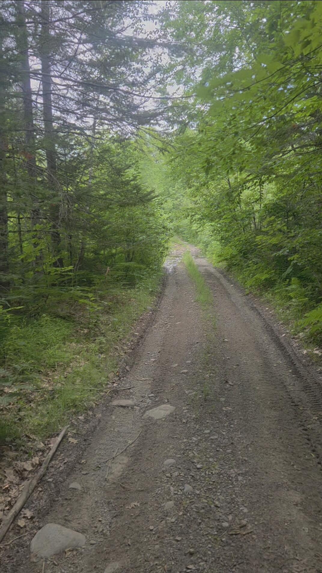 0 Miller Road New Vineyard, ME 04956 - Photo 5 of 48 Screenshot_20260712_143705_Gallery