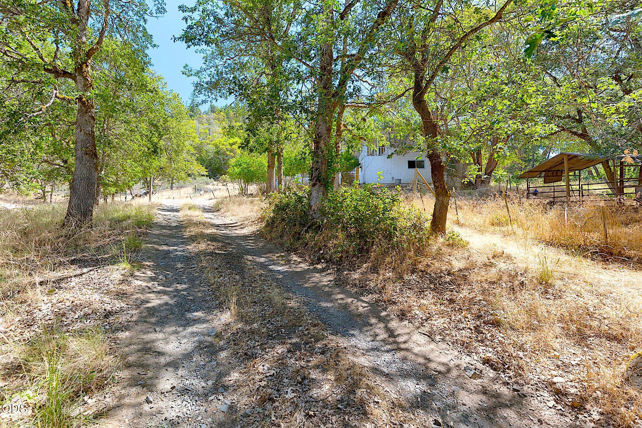 705 Murphy Gulch Road Rogue River, OR 97537 - Photo 41 of 77