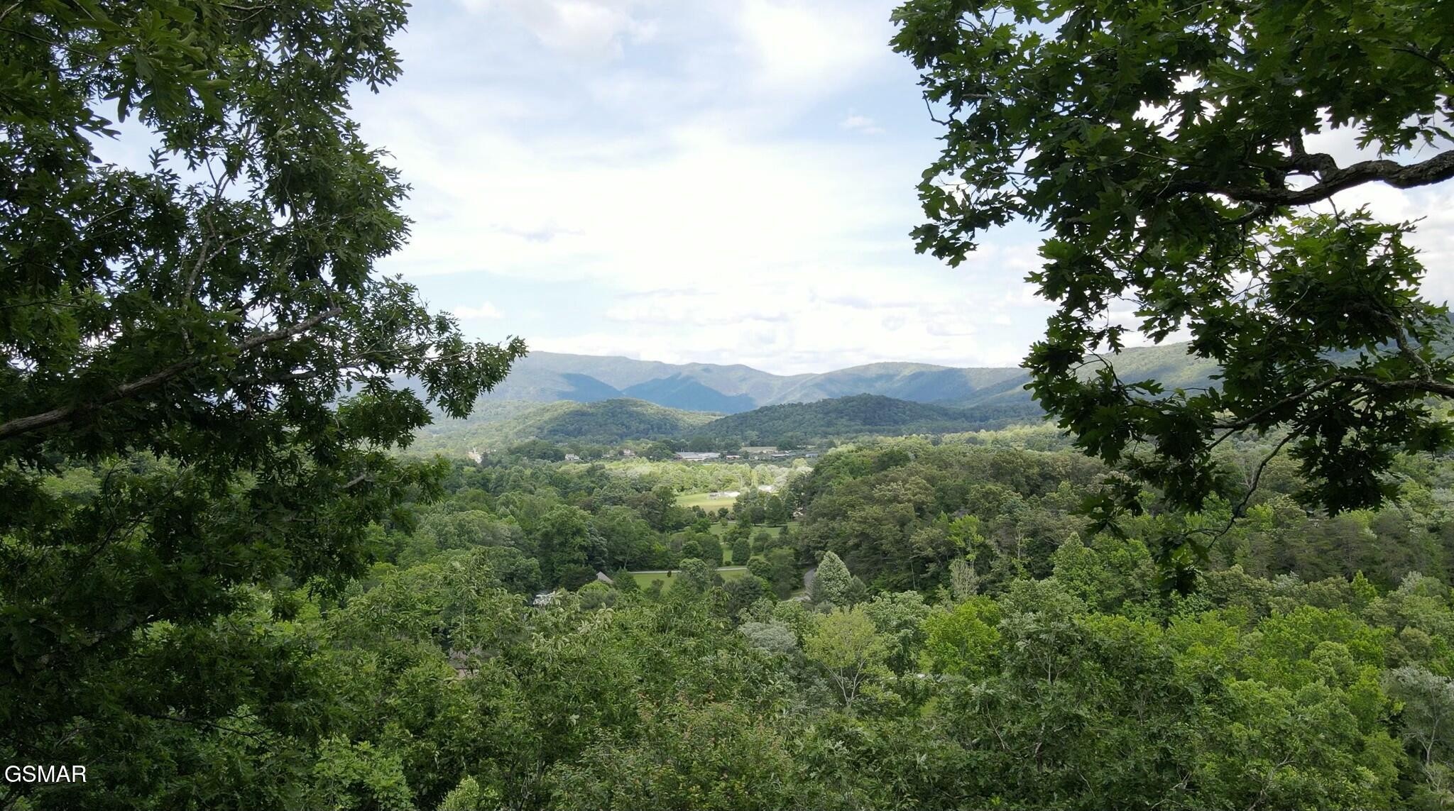 0 Little Bear Road Cosby, TN 37722 - Photo 7 of 46 Gallery Image 7
