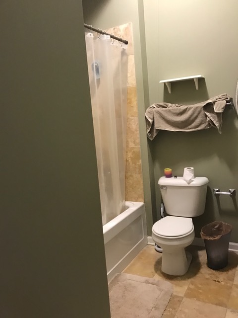 1464 South Michigan Avenue, Unit 1607 Chicago, IL 60605 - Photo 7 of 8 a bathroom with a toilet and a shower