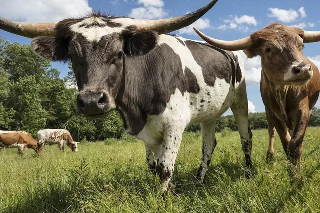 $120,000 | Lot 1 Chapin Trail, White Lake, NY 12786