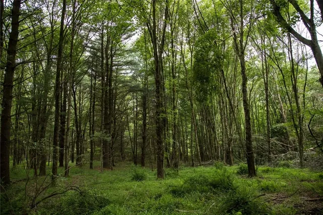 $120,000 | Lot 1 Chapin Trail, White Lake, NY 12786