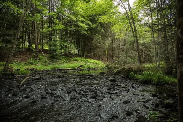 $120,000 | Lot 1 Chapin Trail, White Lake, NY 12786