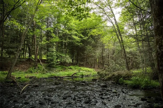 $120,000 | Lot 1 Chapin Trail, White Lake, NY 12786