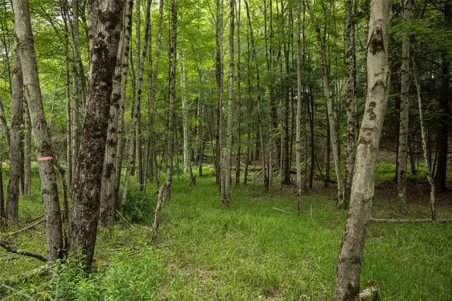 $120,000 | Lot 1 Chapin Trail, White Lake, NY 12786