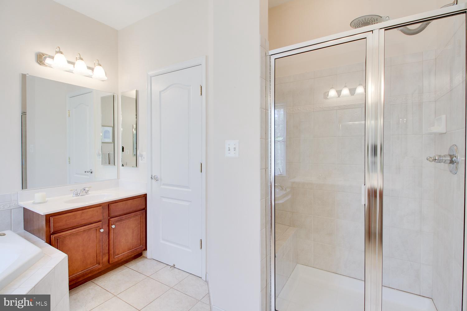 21516 Inman Park Place Ashburn, VA 20147 - Photo 14 of 22 Master Bath with shower and soaking tub
