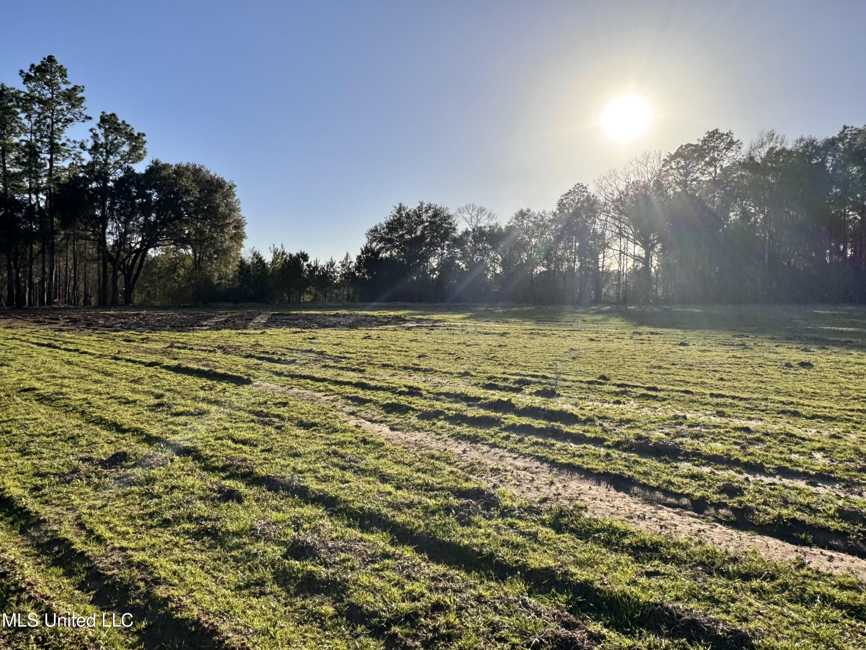 1 Marshall Smith Road Lucedale, MS 39452 - Photo 1 of 4 Lot 1