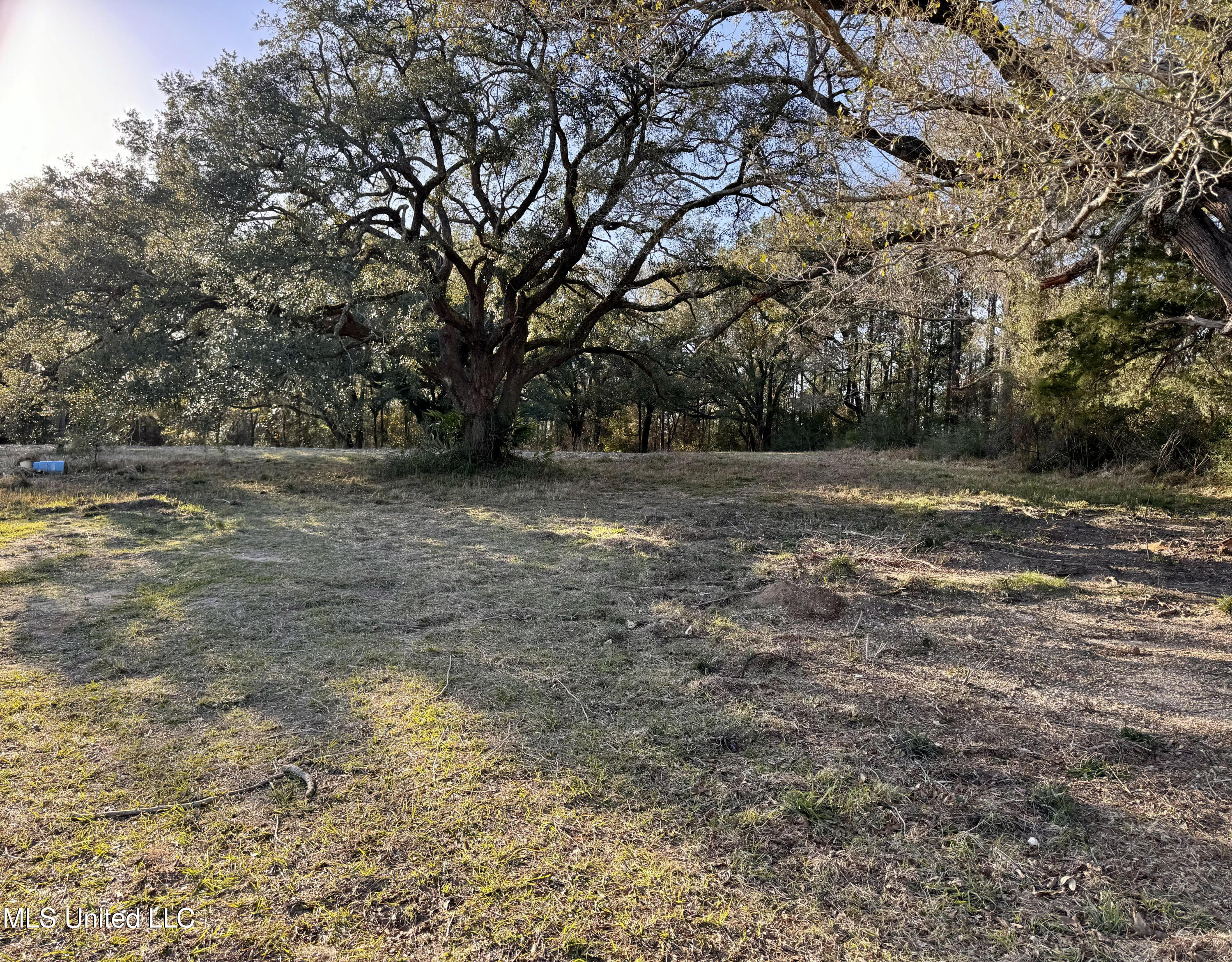 1 Marshall Smith Road Lucedale, MS 39452 - Photo 2 of 4 Lot 1