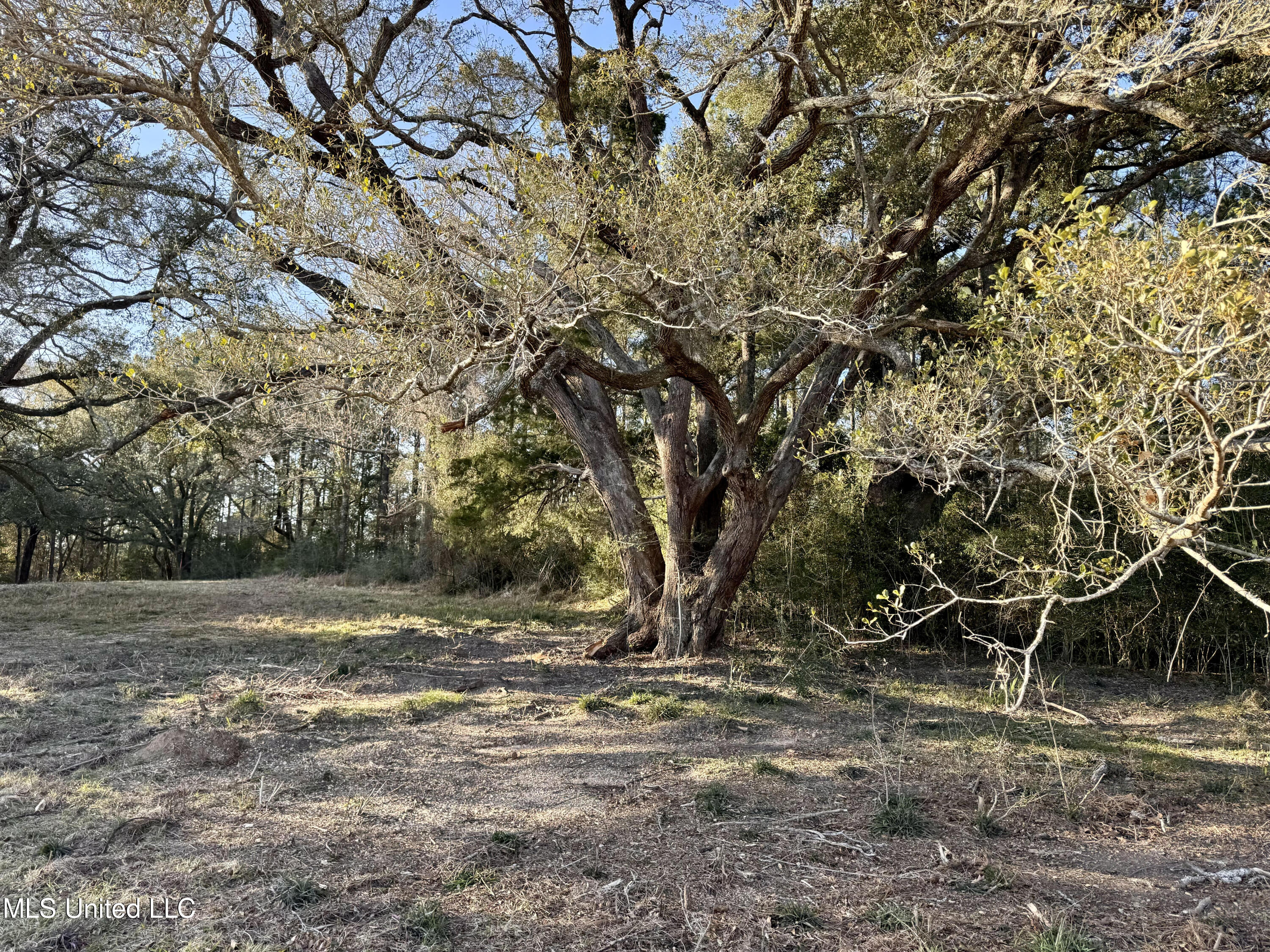 1 Marshall Smith Road Lucedale, MS 39452 - Photo 3 of 4 Lot 1